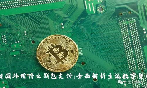 区块链国外用什么钱包支付：全面解析主流数字货币钱包