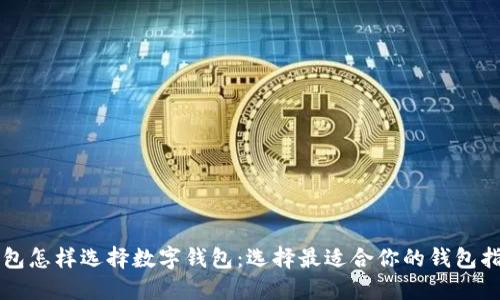 红包怎样选择数字钱包：选择最适合你的钱包指南