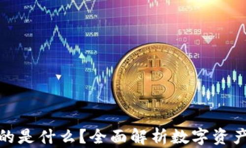 
数字钱包存的是什么？全面解析数字资产与其安全性