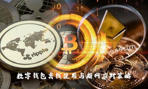 数字钱包离线使用与断网应对策略