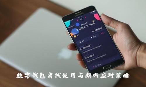 数字钱包离线使用与断网应对策略