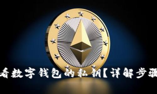 如何安全查看数字钱包的私钥？详解步骤与注意事项
