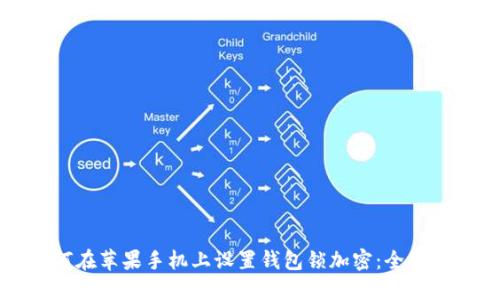 如何在苹果手机上设置钱包锁加密：全面指南