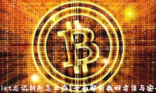
tpWallet忘记钥匙怎么办？全面解析找回方法与安全提示