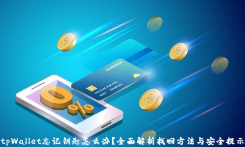 
tpWallet忘记钥匙怎么办？全面解析找回方法与安全提示