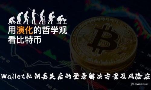 tpWallet私钥丢失后的登录解决方案及风险应对