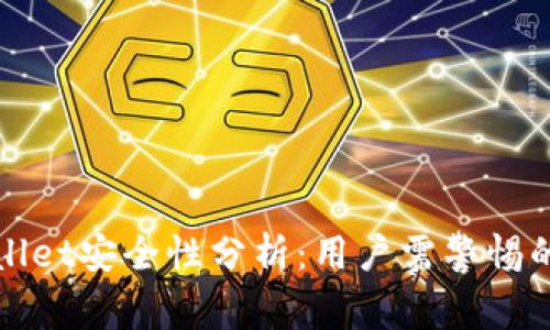 下载tpWallet安全性分析：用户需警惕的潜在风险