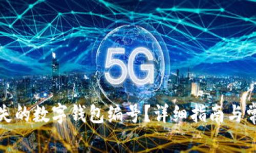 如何找回丢失的数字钱包编号？详细指南与常见问题解答