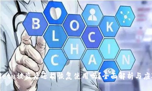 tpWalletu被盗后还能恢复使用吗？全面解析与应对措施