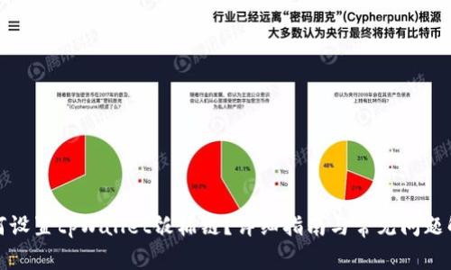 如何设置tpWallet饭桶链？详细指南与常见问题解答