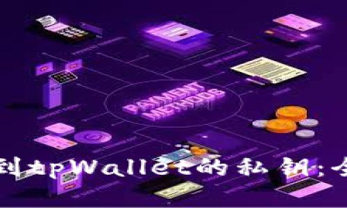 如何找到tpWallet的私钥：全面指南