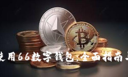 如何高效使用66数字钱包：全面指南与实用技巧