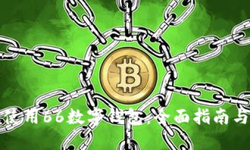 如何高效使用66数字钱包：全面指南与实用技巧