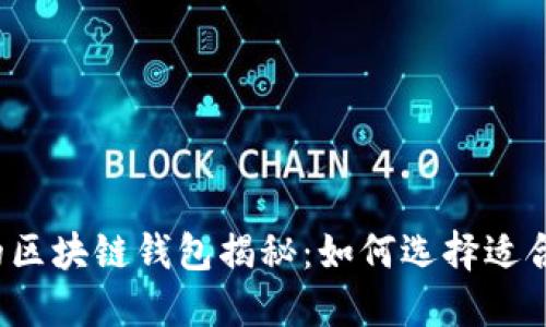 全球最大的区块链钱包揭秘：如何选择适合你的钱包？