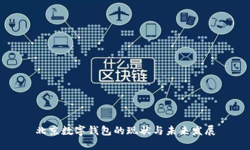 北京数字钱包的现状与未来发展
