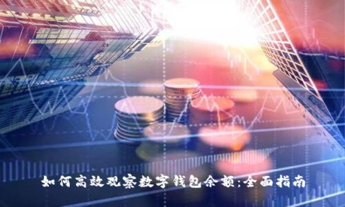 如何高效观察数字钱包余额：全面指南
