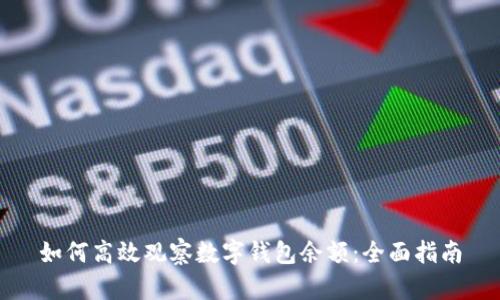 如何高效观察数字钱包余额：全面指南