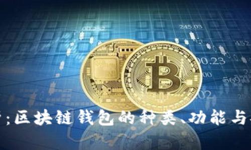 全解析：区块链钱包的种类、功能与安全性