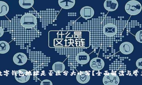 : tp数字钱包地址是否区分大小写？全面解读与常见问题