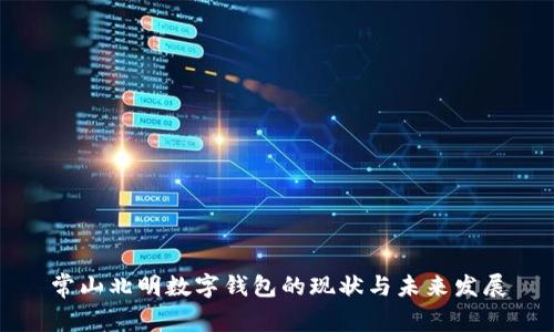 常山北明数字钱包的现状与未来发展