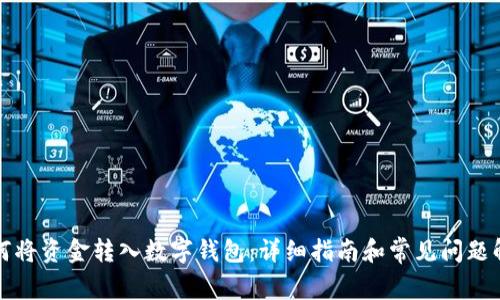 如何将资金转入数字钱包：详细指南和常见问题解答