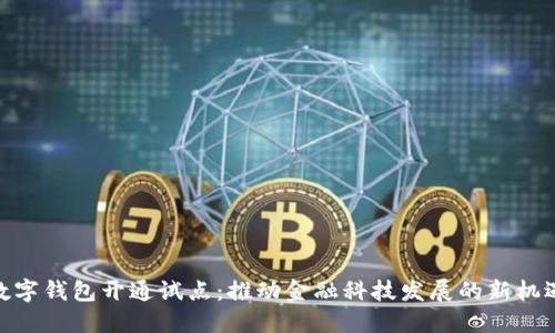 数字钱包开通试点：推动金融科技发展的新机遇