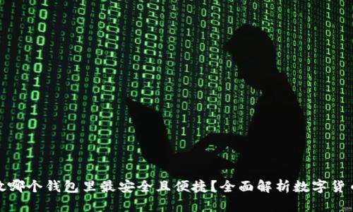 加密货币放哪个钱包里最安全且便捷？全面解析数字货币钱包选择
