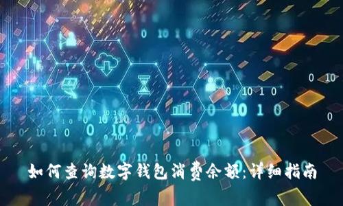 如何查询数字钱包消费余额：详细指南