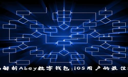 全面解析Abey数字钱包：iOS用户的最佳选择