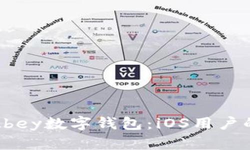 全面解析Abey数字钱包：iOS用户的最佳选择