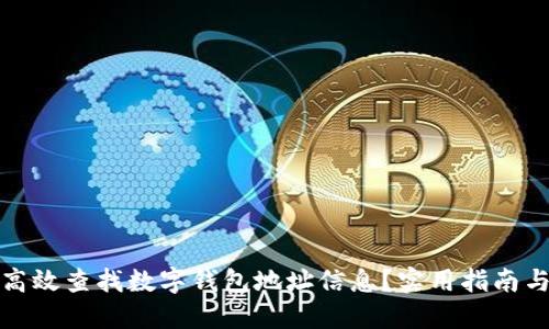 如何高效查找数字钱包地址信息？实用指南与技巧