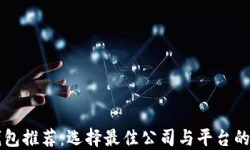 
区块链钱包推荐：选择最佳公司与平台的全面指南