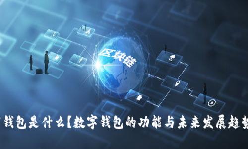 :数字钱包是什么？数字钱包的功能与未来发展趋势解析