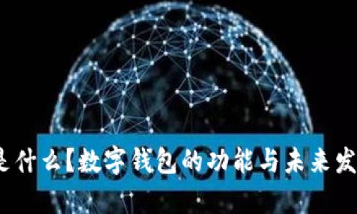 :数字钱包是什么？数字钱包的功能与未来发展趋势解析
