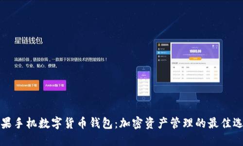苹果手机数字货币钱包：加密资产管理的最佳选择
