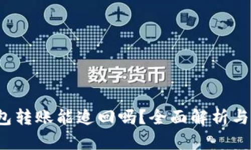  数字钱包转账能追回吗？全面解析与解决方案