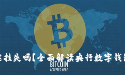 央行数字钱包能挂失吗？全面解读央行数字钱包的安全与风险