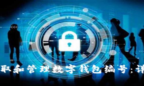 如何获取和管理数字钱包编号：详尽指南