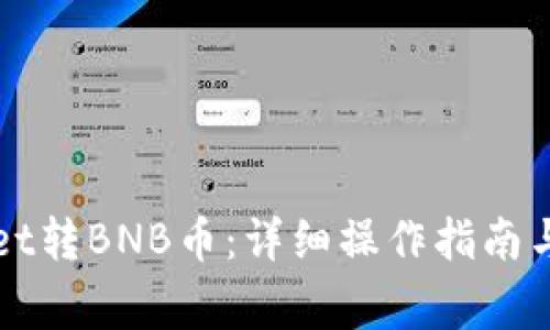如何向tpWallet转BNB币：详细操作指南与常见问题解答