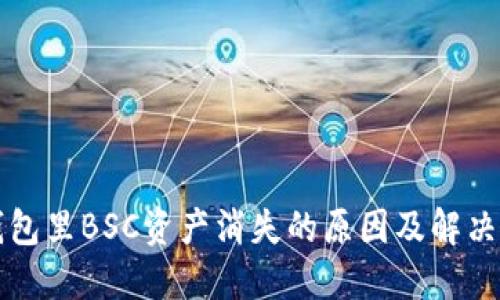 TP钱包里BSC资产消失的原因及解决办法