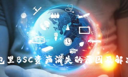 TP钱包里BSC资产消失的原因及解决办法