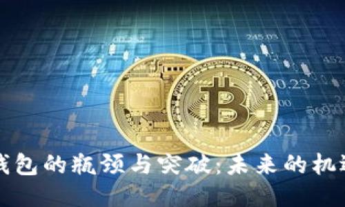 区块链钱包的瓶颈与突破：未来的机遇与挑战