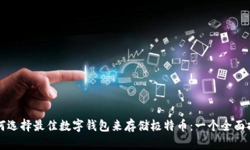 如何选择最佳数字钱包来存储极特币：一个全面指南