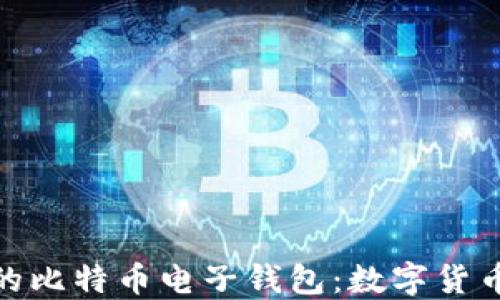 
如何选择适合的比特币电子钱包：数字货币的安全与便捷
