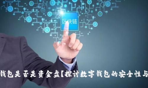 数字钱包是否是资金盘？探讨数字钱包的安全性与风险
