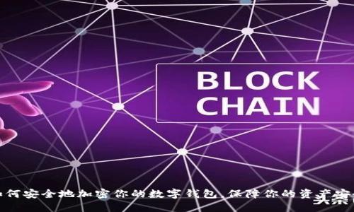 如何安全地加密你的数字钱包，保障你的资产安全