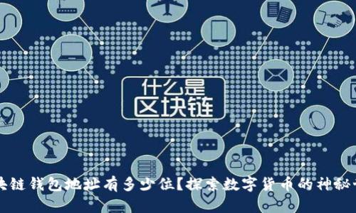 区块链钱包地址有多少位？探索数字货币的神秘世界