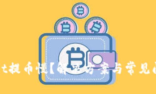 tpWallet提币慢？解决方案与常见问题详解