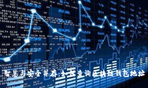 智慧与安全并存：如何查询区块链钱包地址