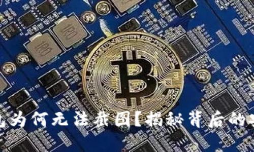 数字钱包为何无法截图？揭秘背后的安全策略